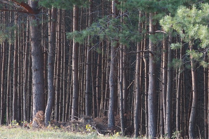 6. října 2018 16:45:39