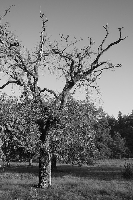 28. září 2019 8:10:48 / Camera Make: OLYMPUS CORPORATION     Model: E-M10MarkII      