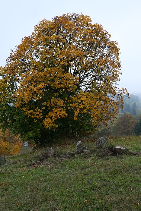 Camera Make: Panasonic Model: DC-LX100M2 / Created: 8. října 2022 10:37:28 